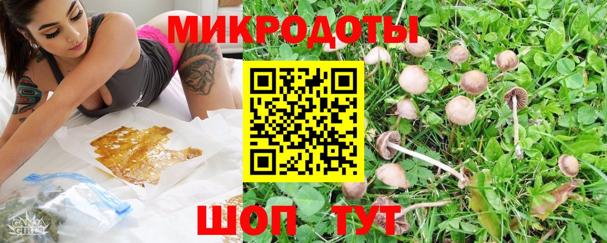 Псилоцибиновые грибы мицелий Новоалександровск