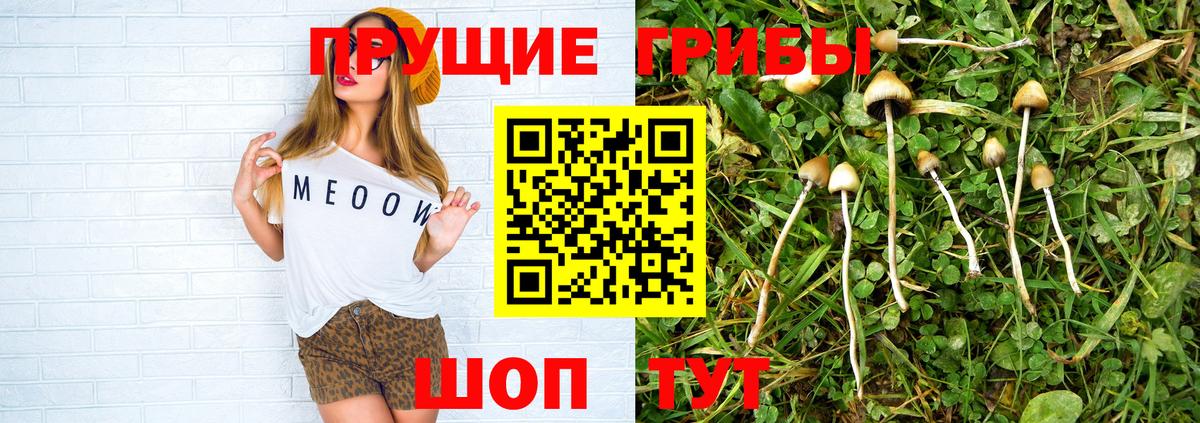 Галлюциногенные грибы Magic Shrooms  Вход с VPN  Галлюциногенные грибы Psilocybe  где купить наркоту  Новоалександровск 